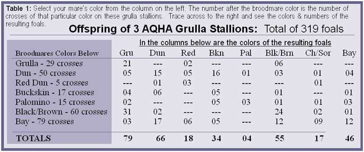 Horse Color Cross Chart